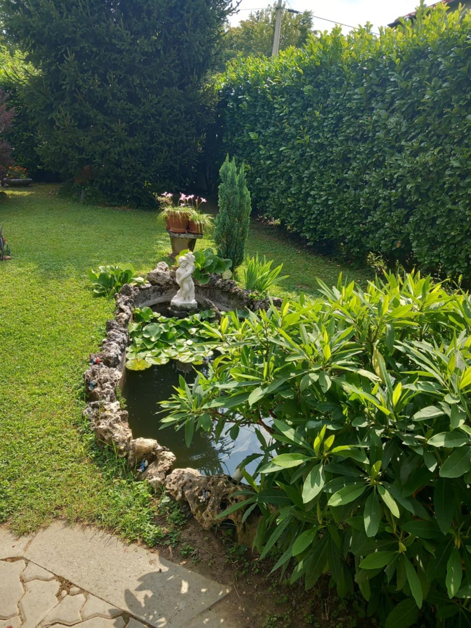 Il Laghetto Bed & Breakfast Torre Canavese Ngoại thất bức ảnh